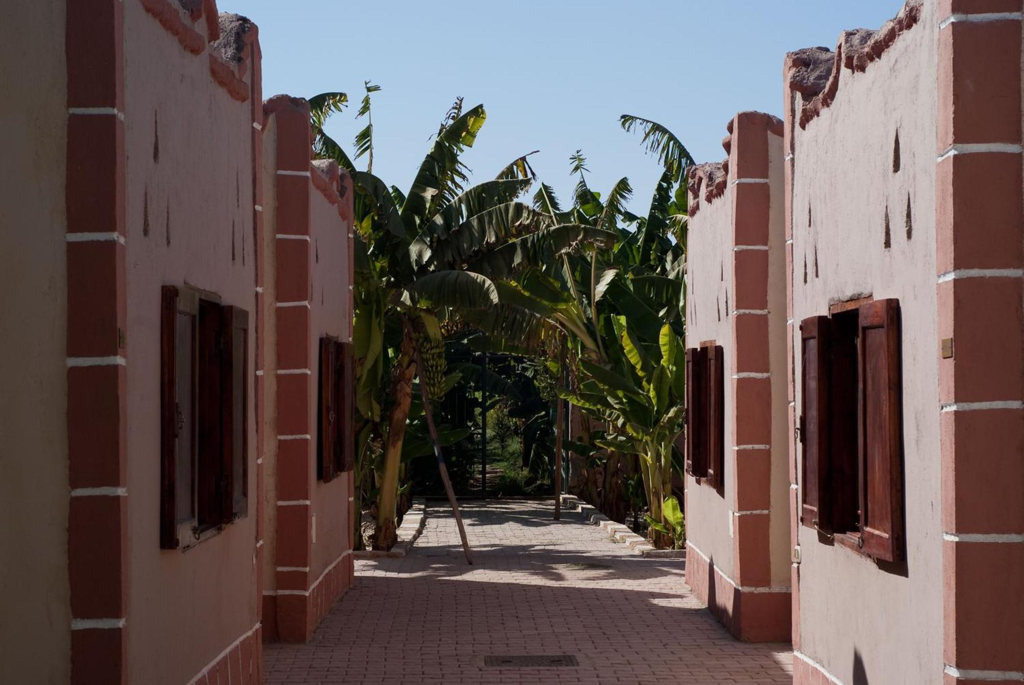 Al Baeirat Hotel Luxor Luaran gambar