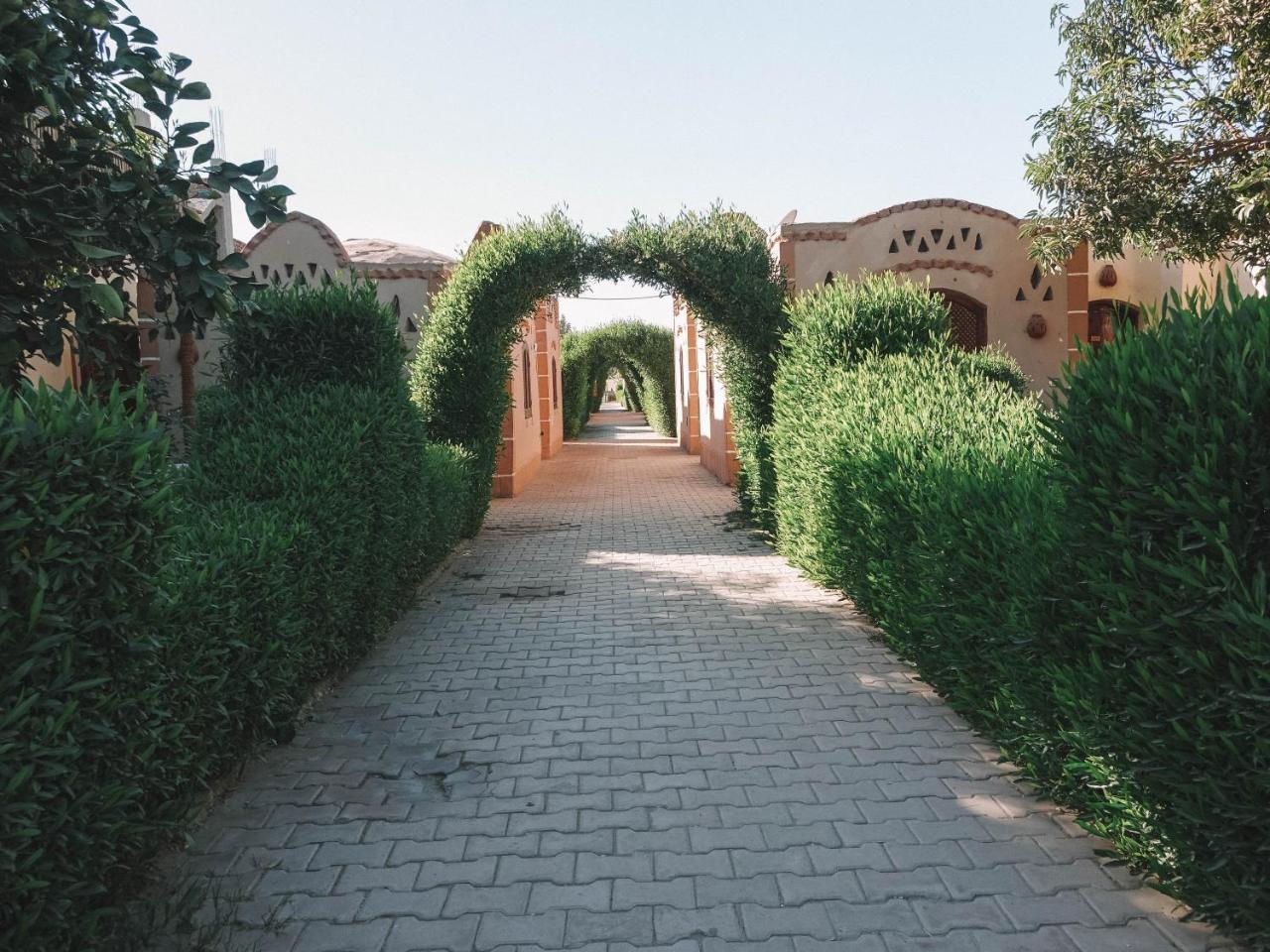 Al Baeirat Hotel Luxor Luaran gambar